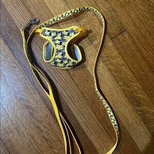 Dogs Yellow Floral Soft Harness & Matching Leash